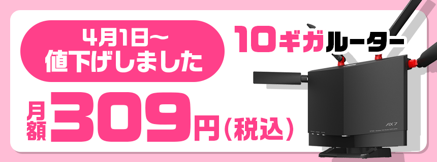 【値下げしました】10ギガルーター